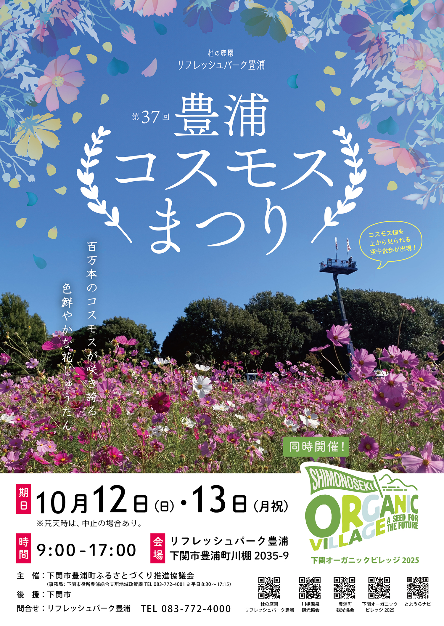 豊浦コスモス祭り